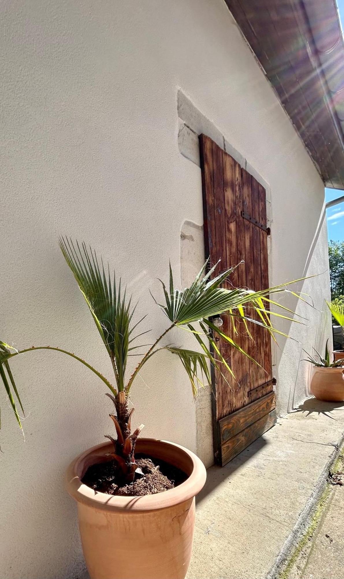 Five And You Josse Exterior foto